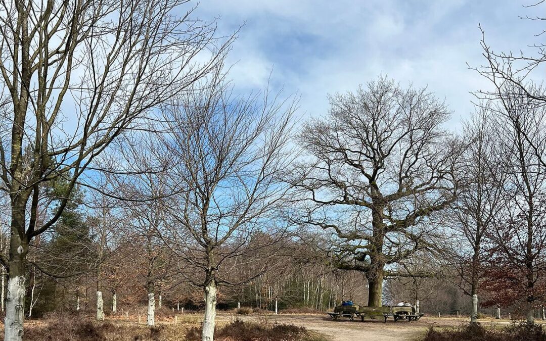 Wandelen en leren