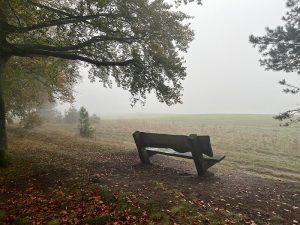Foto van een bankje, vroeg in de ochtend in de mist. Symbool voor een frisse start.